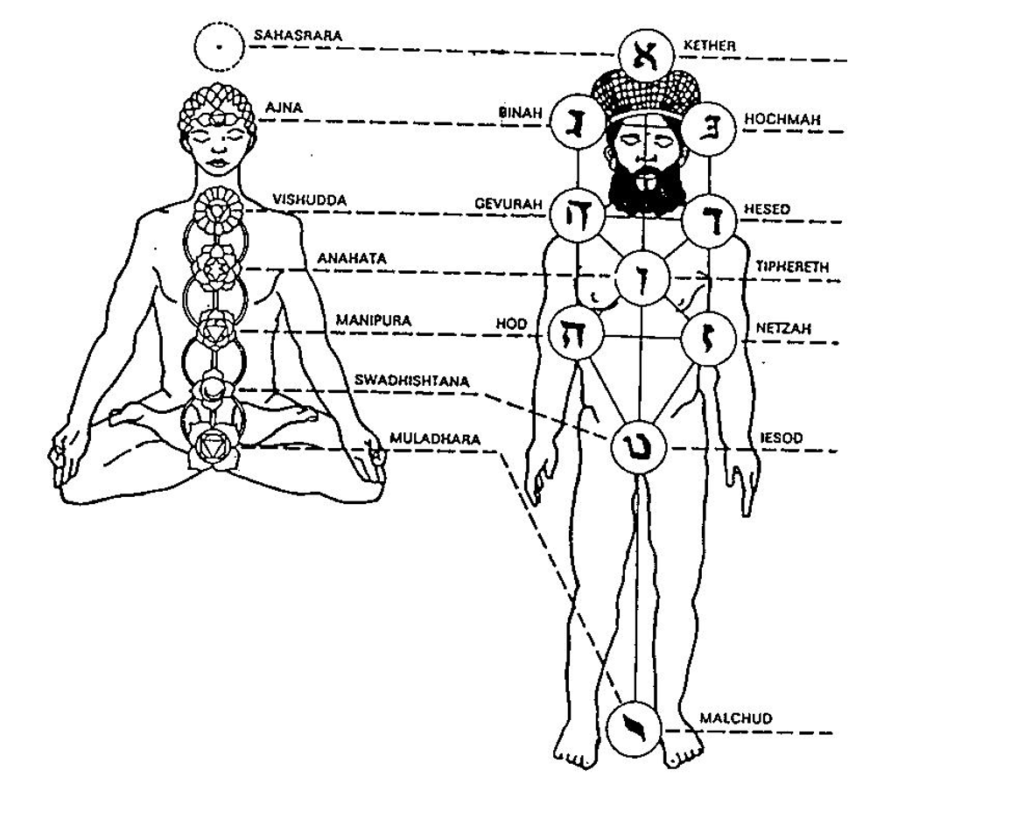 Correspondances entre les points d’énergie de l’arbre des Sephirots et le corps humain
